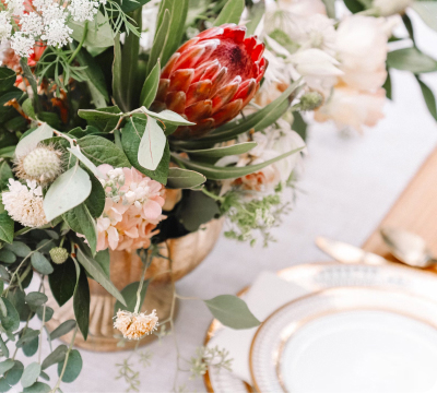 Solo regali che avete sempre desiderato