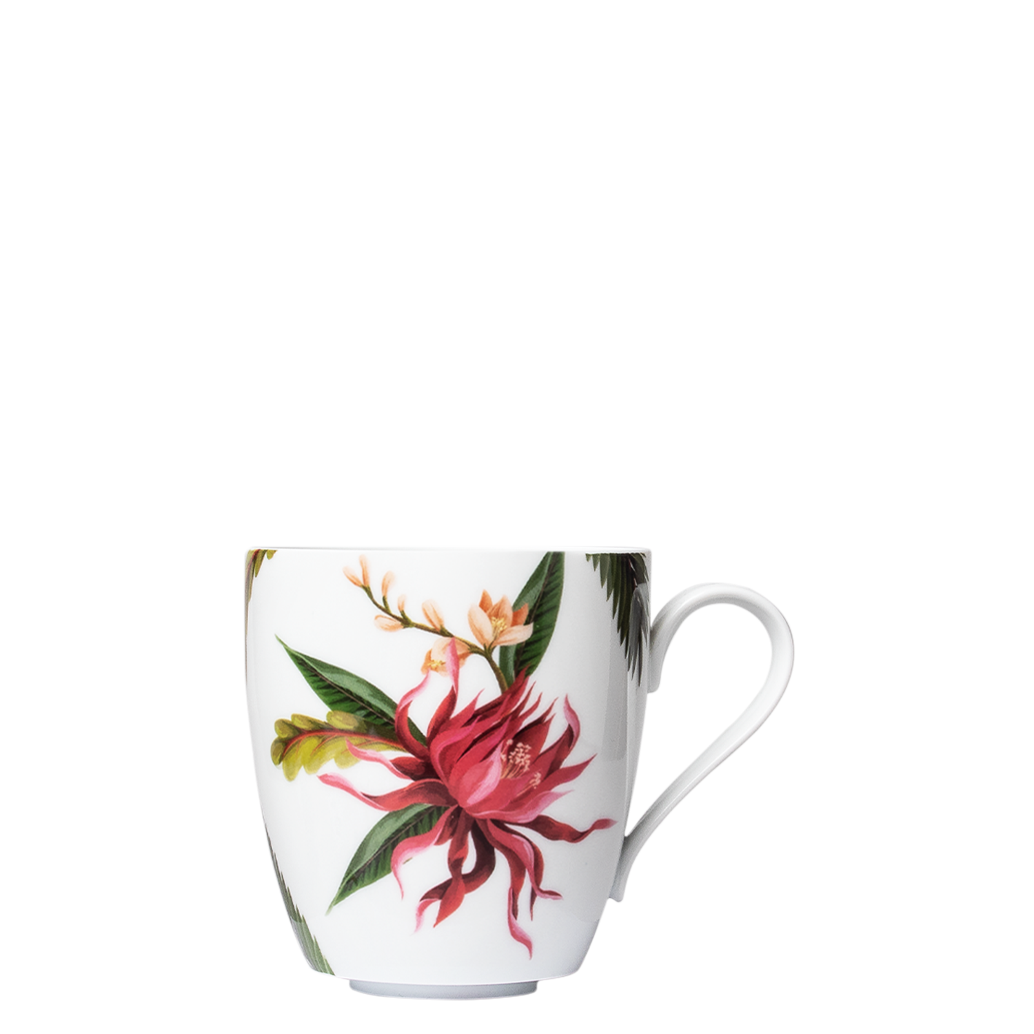 PARAISO 21 MUG cl.25